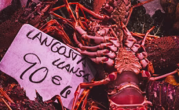 Gastronomie Barcelone 2026 : plats incontournables à déguster