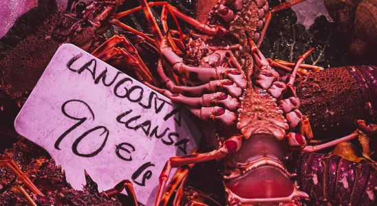Gastronomie Barcelone 2026 : plats incontournables à déguster
