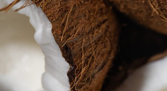 Les 7 huiles de noix de coco biologiques les plus bénéfiques