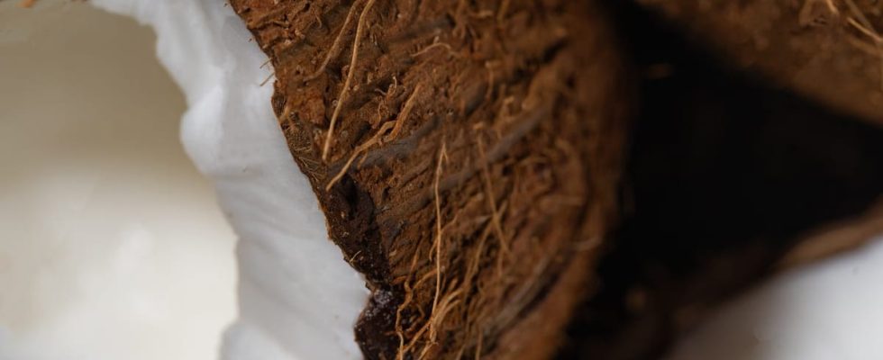 Les 7 huiles de noix de coco biologiques les plus bénéfiques