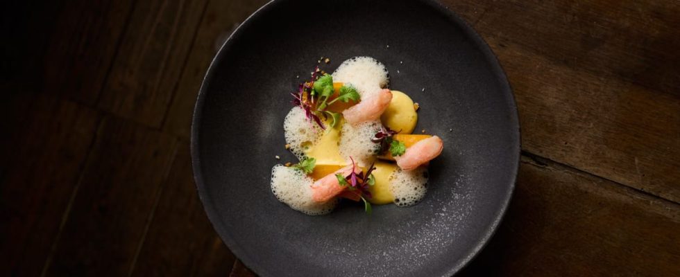 Lyon 2026 : 13 restaurants révolutionnent la gastronomie
