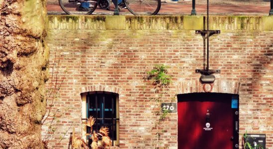 Visiter Amsterdam en 5 jours : guide pratique 2026