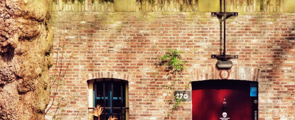 Visiter Amsterdam en 5 jours : guide pratique 2026
