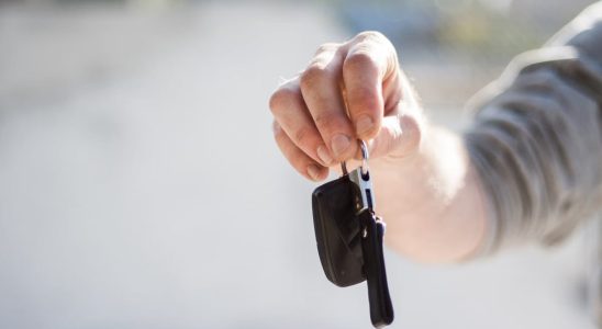 Location de voiture à Amsterdam : guide des meilleures options 2026